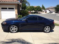 Tiburon Tiburon