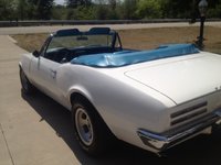 Firebird Firebird