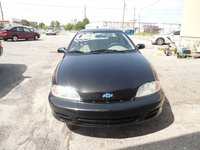 Cavalier Cavalier