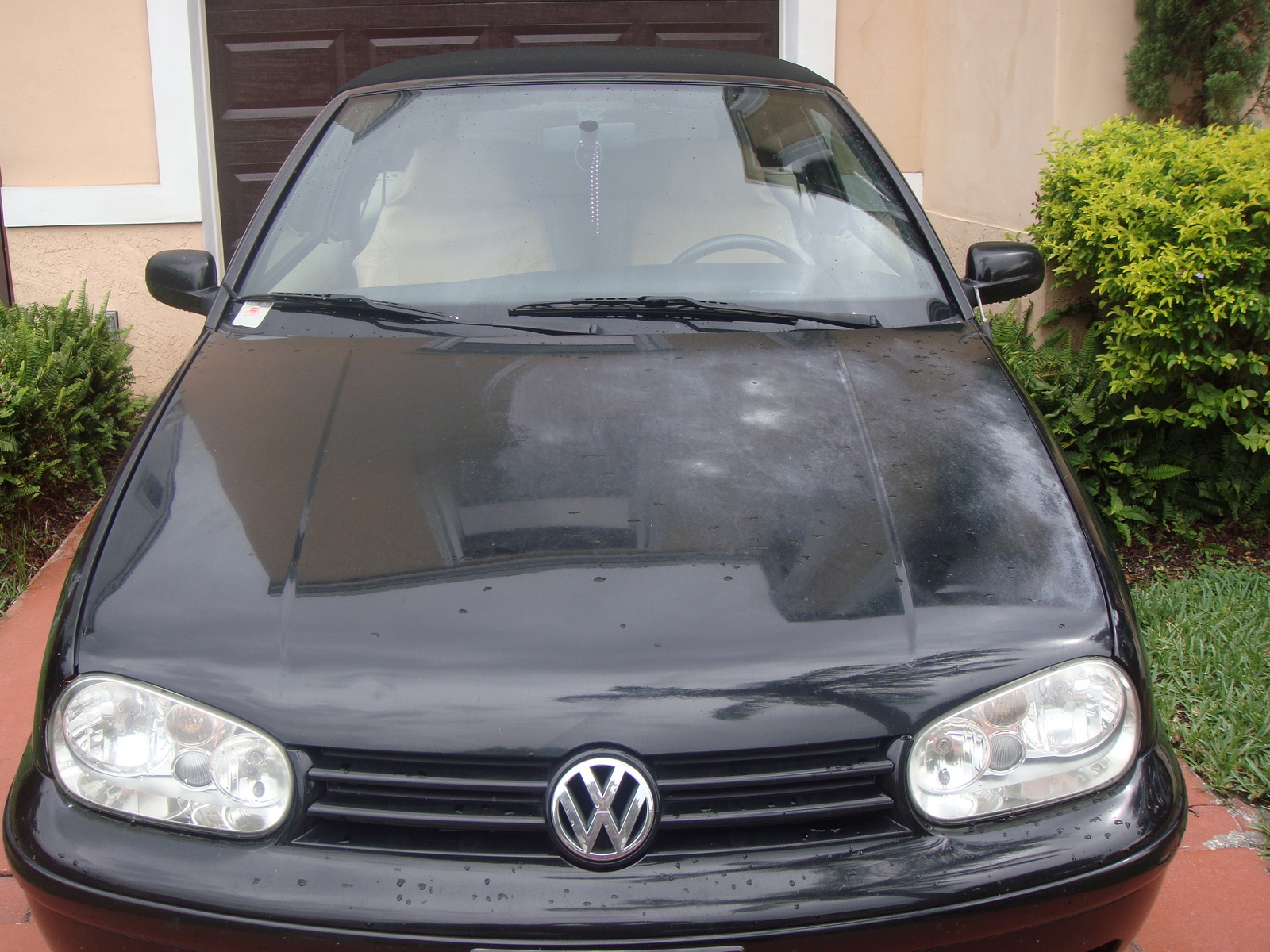 Cabrio Cabrio