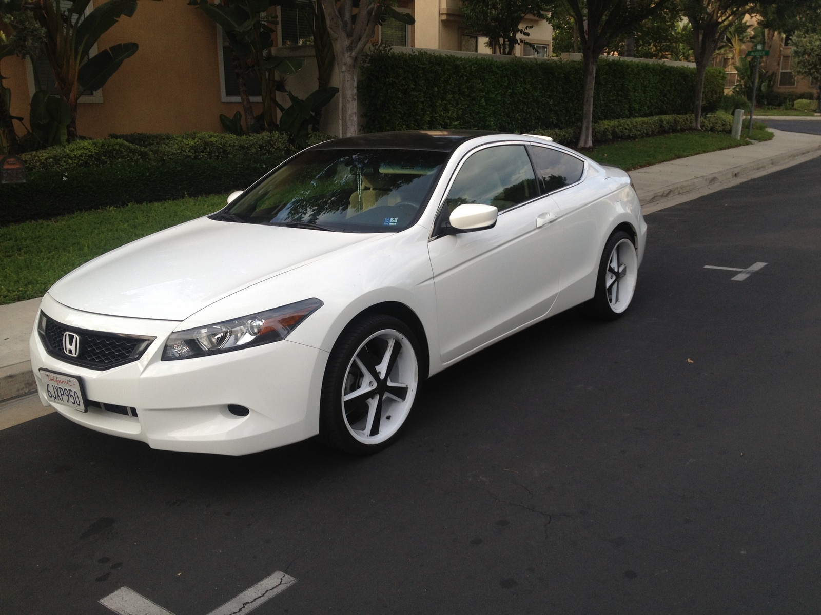 2010 Honda Accord Coupe Pictures CarGurus