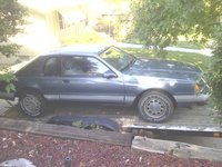 1985 Ford Thunderbird Overview 1985 Ford Thunderbird Overview
