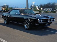 Firebird Firebird