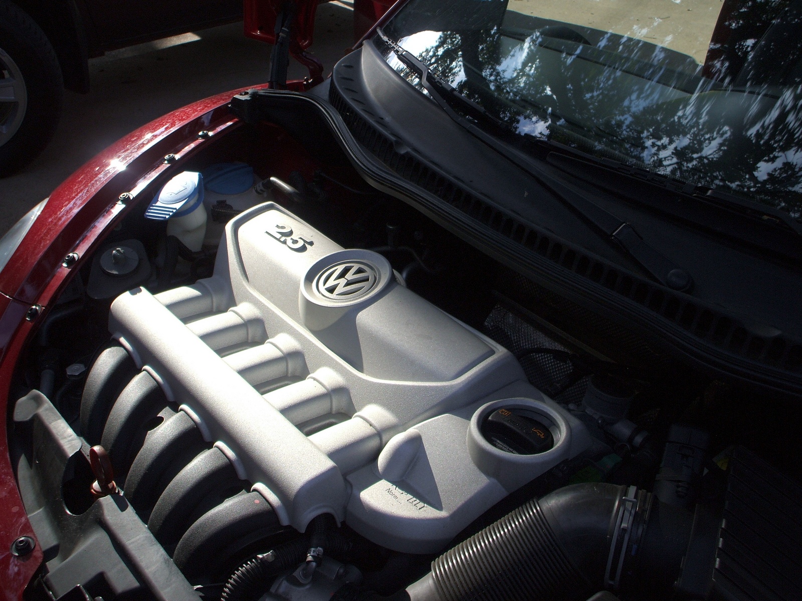 2010 Volkswagen Beetle