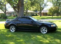Mustang SVT Cobra Mustang SVT Cobra