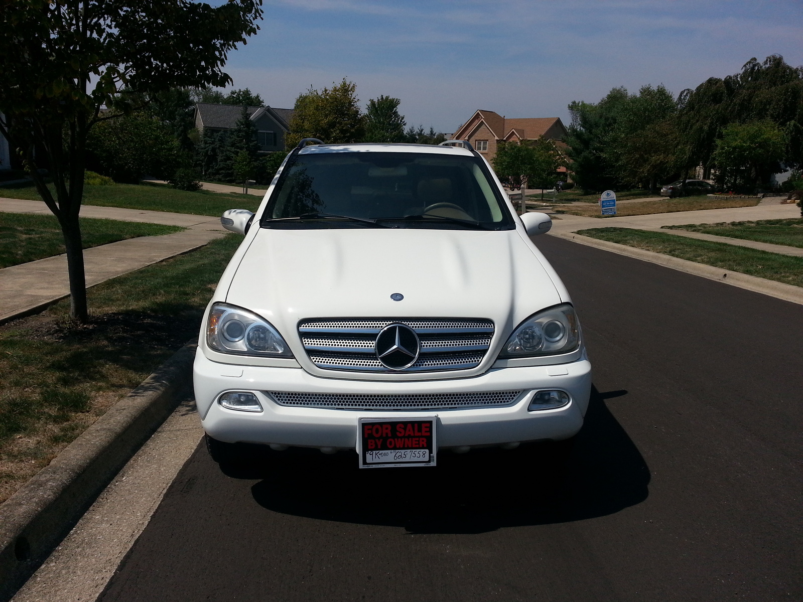 2005 Mercedes Benz M Class Pictures Cargurus
