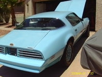 Firebird Firebird