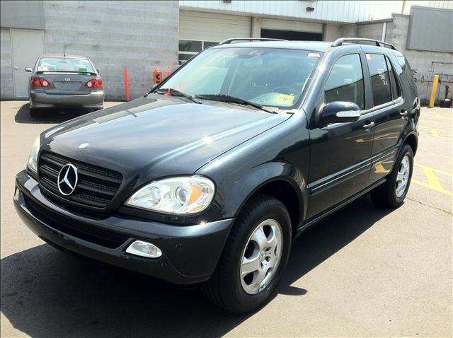 2004 Mercedes Benz M Class Pictures Cargurus