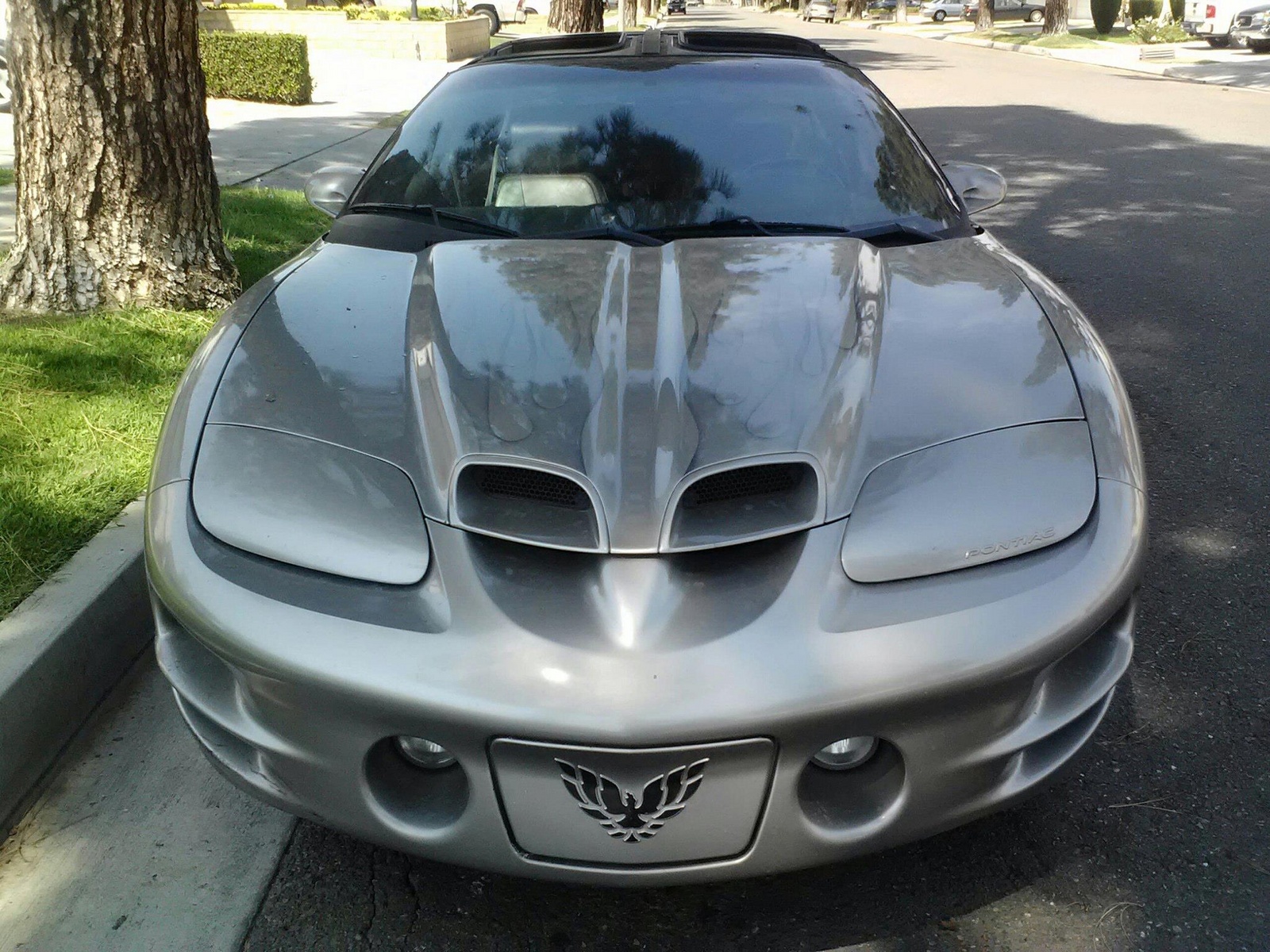 2001 Pontiac Firebird - Pictures - 2001 Pontiac Firebird Trans Am ...