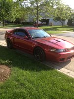 Mustang SVT Cobra Mustang SVT Cobra