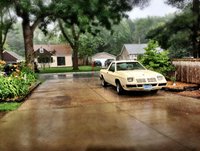 1982 Dodge Rampage Overview 1982 Dodge Rampage Overview