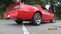 Firebird Firebird