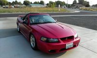 Mustang SVT Cobra Mustang SVT Cobra