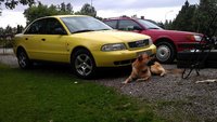 1996 Audi A4 Overview 1996 Audi A4 Overview