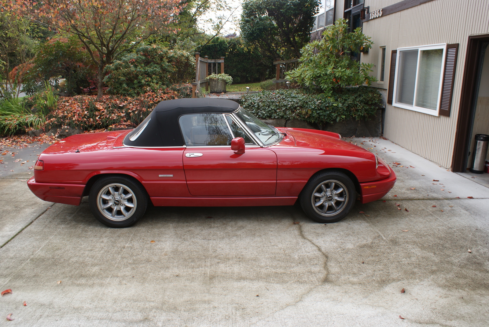 1982 Alfa Romeo Spider Overview Cargurus