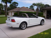 Mustang SVT Cobra Mustang SVT Cobra