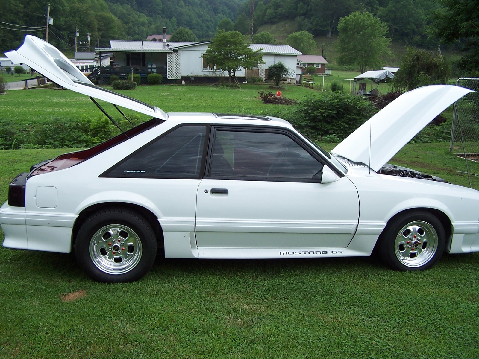 1988 Ford Mustang Radiator