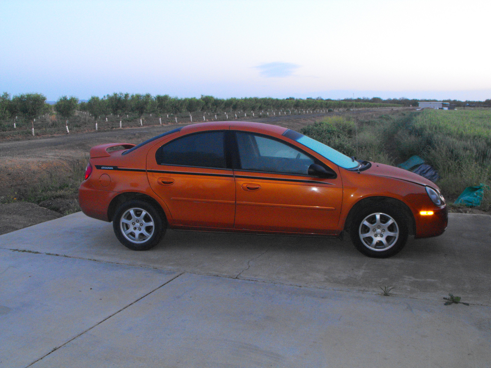 2005 Dodge Neon Pictures Cargurus
