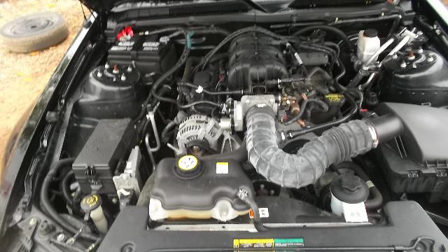 2009 Ford Mustang