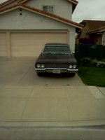 Skylark Skylark