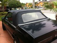 Sunbird Sunbird