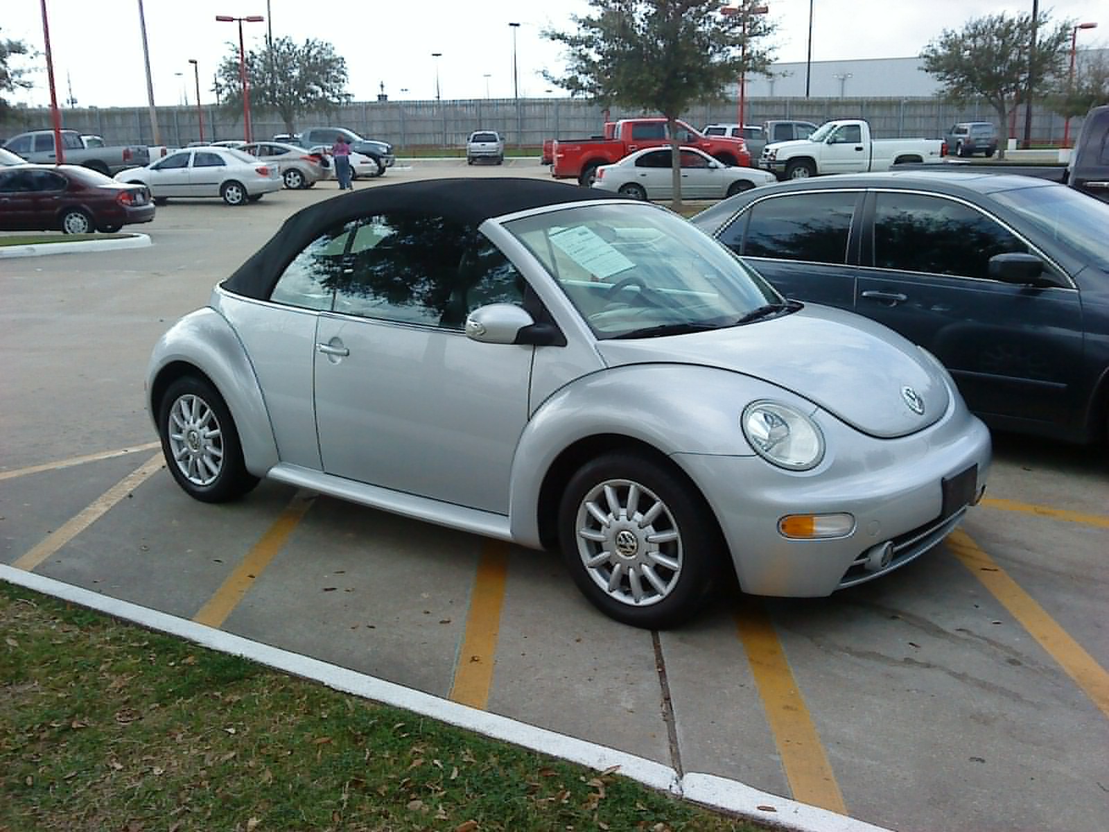 2004 Volkswagen Beetle Pictures Cargurus