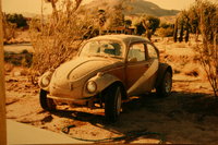 1967 Volkswagen Beetle Overview 1967 Volkswagen Beetle Overview