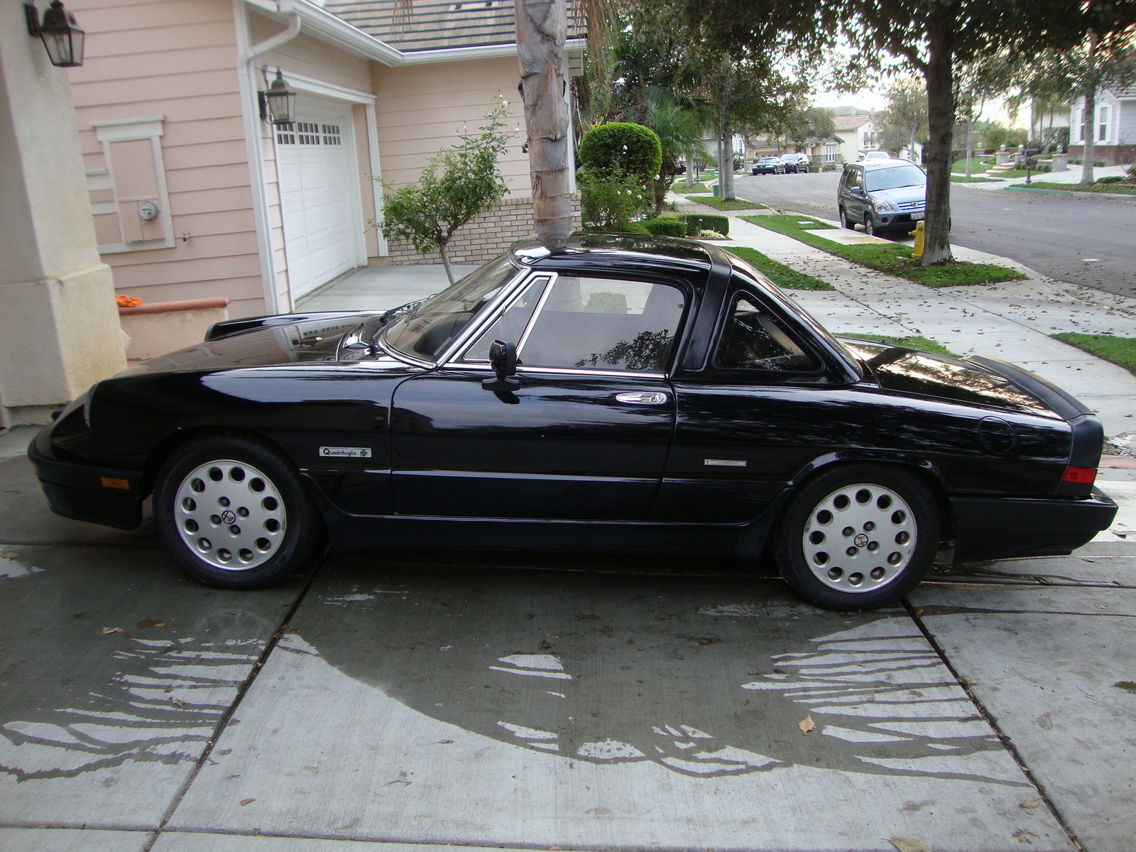 1987 Alfa Romeo Spider Pictures Cargurus
