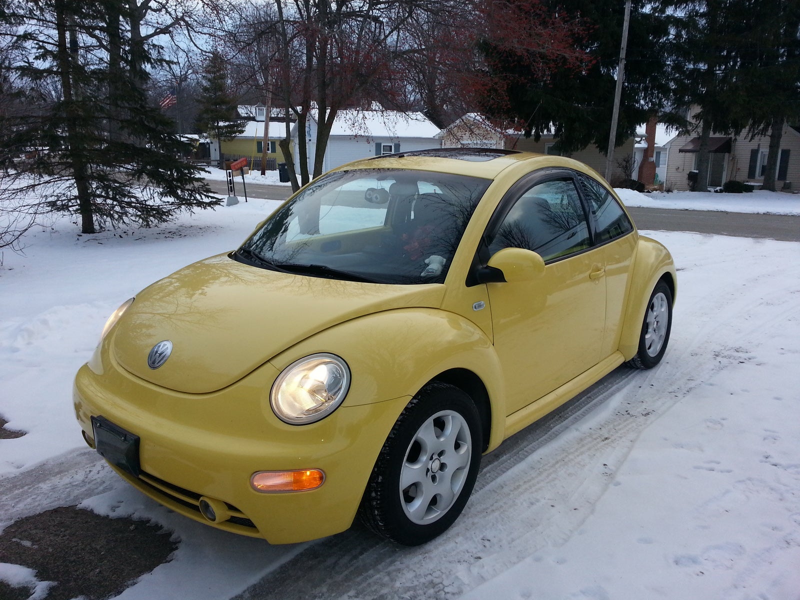 beetle 2003