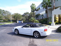 Mustang SVT Cobra Mustang SVT Cobra