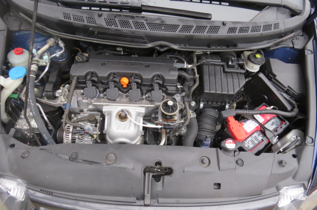 2009 Honda fit paint problems #2