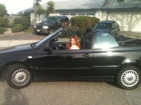 Cabrio Cabrio