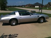 1981 Pontiac Trans Am Overview 1981 Pontiac Trans Am Overview