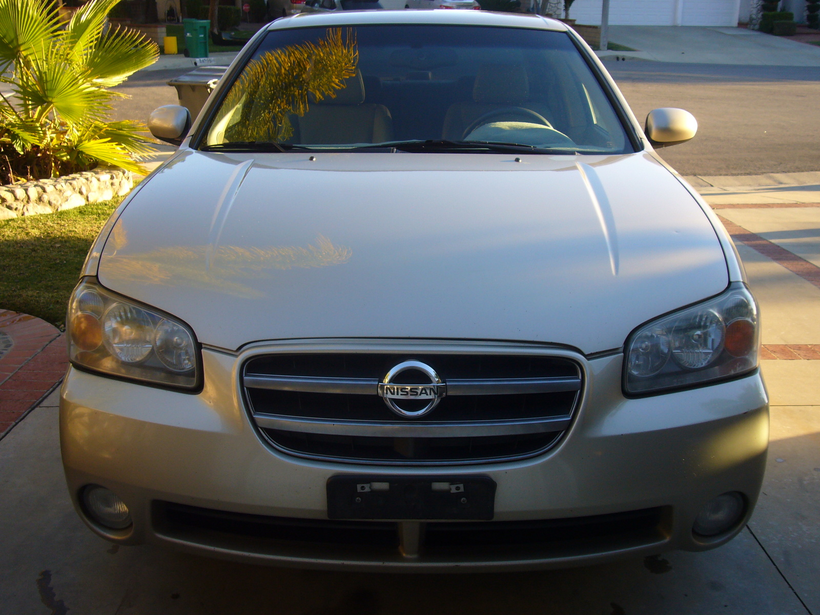 2002 Nissan Maxima - Pictures - CarGurus