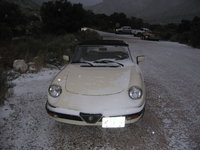1984 Alfa Romeo Spider Overview 1984 Alfa Romeo Spider Overview