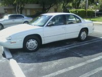 Lumina Lumina