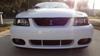 Mustang SVT Cobra Mustang SVT Cobra