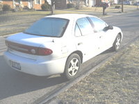 Cavalier Cavalier