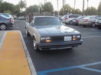 El Camino El Camino