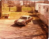 1968 Buick Skylark Overview 1968 Buick Skylark Overview