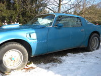 1979 Pontiac Trans Am Overview 1979 Pontiac Trans Am Overview