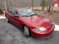 Cavalier Cavalier