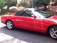 Thunderbird Thunderbird