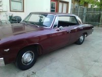 1967 Chevrolet Chevelle Overview 1967 Chevrolet Chevelle Overview