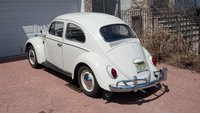 1964 Volkswagen Beetle Overview 1964 Volkswagen Beetle Overview