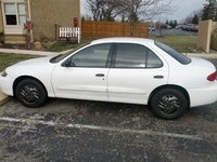 Cavalier Cavalier