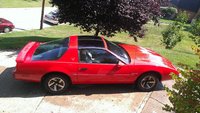 Firebird Firebird