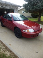 Cavalier Cavalier