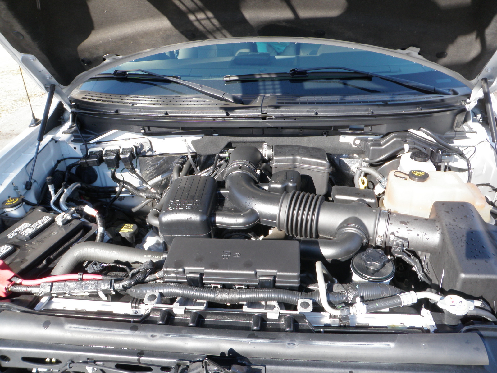 2010 Ford F-150