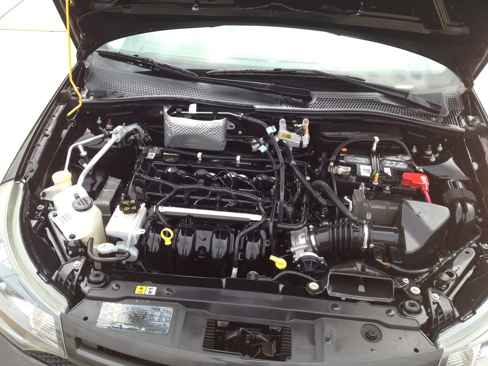 2009 Ford Focus